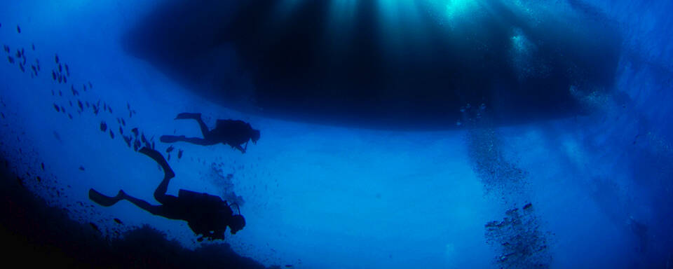 Blue Venture Diving - About